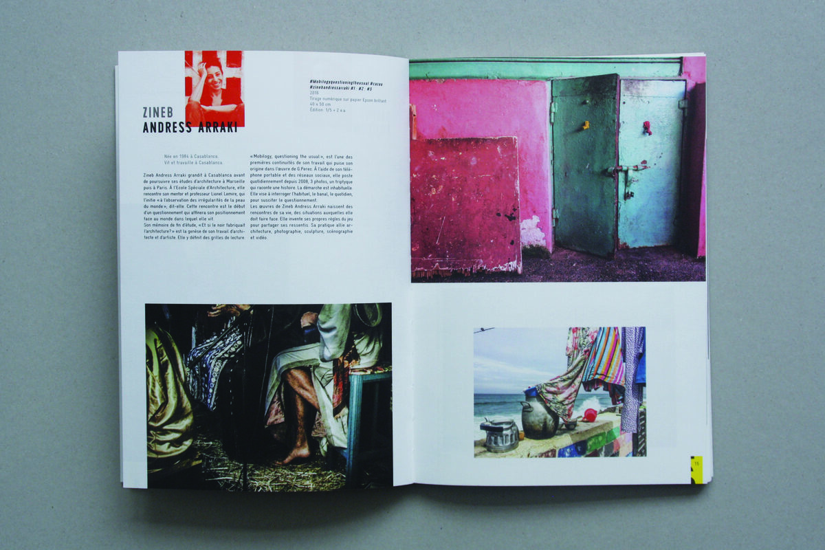 Flash publication